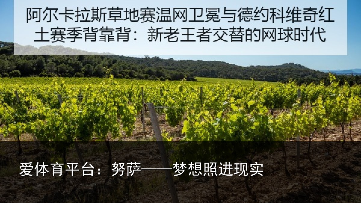 爱体育平台：努萨——梦想照进现实