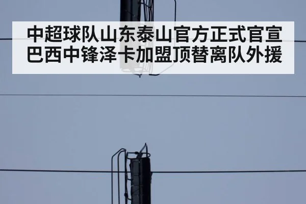中超球队山东泰山官方正式官宣巴西中锋泽卡加盟顶替离队外援